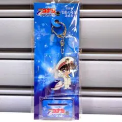 JR東日本×コナンスタンプラリー長野駅景品 アクリルスタンドキーホルダー・カード