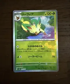 リーフィアEX：バトル強化セット 草/闘 PROMO XYシリーズプロモーショ… リーフィアEX：バトル強化セット 草/闘 PROMO XYシリーズプロモーショ