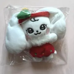 ive minive minini フーディケープ　ウォニョン　新品未開封 2025年最新】Minive ウォニョン ぬいぐるみの人気アイテム - メルカリ