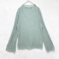 アース プリーツ シアー プルオーバー カットソー F メロウ 透け感 薄手