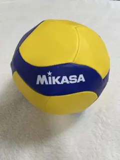 5号 バレーボール