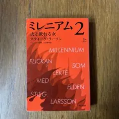 ミレニアム 2 [上] (火と戯れる女 上)
