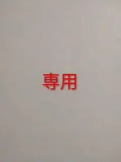 専用