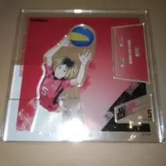 ハイキュー アクリルスタンド 孤爪研磨 1