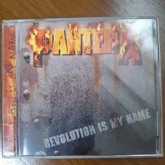 Pantera 激鉄EP CD 国内盤