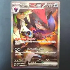 2025年最新】Nのゾロアーク SARの人気アイテム - メルカリ