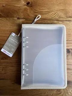 Item thumbnail for item 39fad107-71b9-4ec7-a8a8-a76bf60a8f93