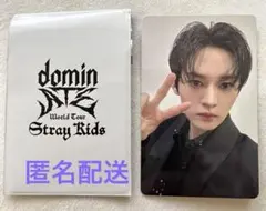 straykids スキズ dominATE 購入特典トレカ リノ