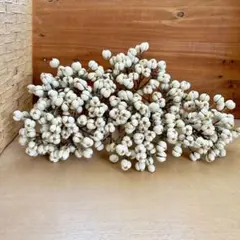 ナンキンハゼ 70+20本 ドライ リース　素材 ⑤2