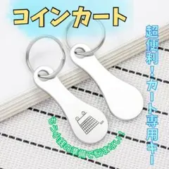 スーパーカートキーホルダー ロピア オーケーストア 小銭不要 子供 mm27