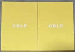 CDLP パンツ 2枚セット Lサイズ Yブリーフ 新品未開封　箱付き