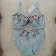 トリンプ　プレミアム　ゴールドレーベル　E85LL　4005②　定価13420円