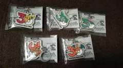 ポケモン 30周年 メタルチャームマスコット ピカチュウ 5種まとめ売り