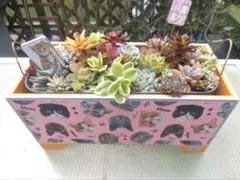 Keiko☆様 リクエスト 2点 まとめ商品