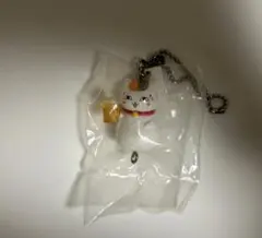 れいちぇる様 専用ページ