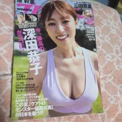 プレイボーイ2025年 No.33 NO34 新品未開封