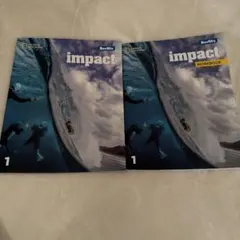 Berlitz Impact 1 ワークブック、grammar,書き込みあり