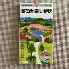 2025年最新】霊仙の人気アイテム - メルカリ