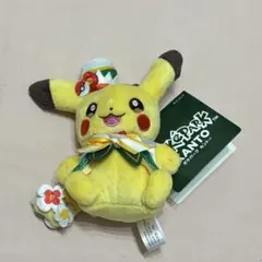 ポケパークカントー 限定 ピカチュウ ぬいぐるみ マスコット キーホルダーのサムネイル