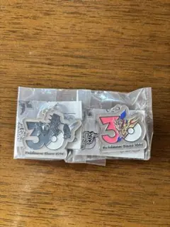 ポケモン 30周年 メタルチャームマスコット 2種セット