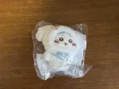 ちいかわサンリオコラボ ハチワレ シナモロール シナモン