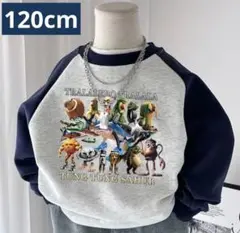 イタリアンブレインロット 120
