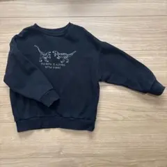 トレーナー　恐竜　120