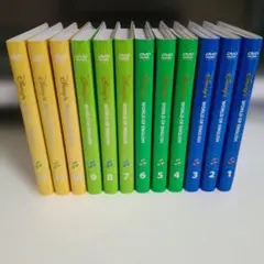 あ*ん様 Disney's World of English DVDセット 全1