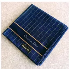 Christian Dior ディオール メンズ ハンカチ 濃紺×緑