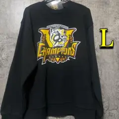 Item thumbnail for item 3272063b-cc7b-4424-a820-10e1fbd69311