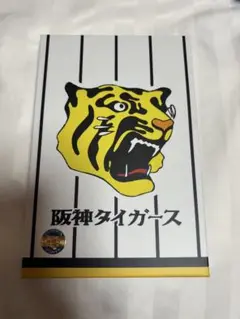 阪神タイガース御朱印帳2025年 優勝記念虎道御朱印付き
