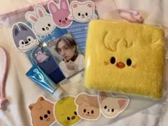 Stray Kids ペンミ1日目 3/28