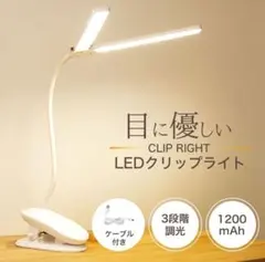 Item thumbnail for item 67b6eef6-5b46-4c46-a644-41c8c76d1c71