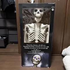 2026年最新】ガイコツ コストコの人気アイテム - メルカリ