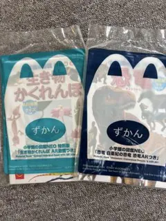 Item thumbnail for item 847bae66-6557-486c-9f33-f7006ade963f