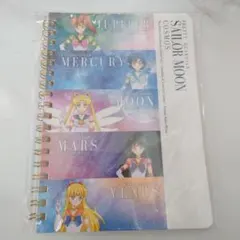 Item thumbnail for item 4eb2dfcd-cfa3-4cc3-ac25-41bb0f5c090a