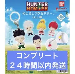 コンプ HUNTER×HUNTER めじるしアクセサリー G.I.編 全５種