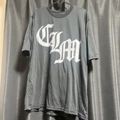 Item thumbnail for item 7f8fb839-3403-43e5-bddd-bd91e762c314