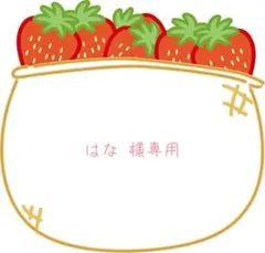 ◾︎ はな 様専用です ◾︎