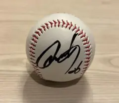 2026年最新】仲地礼亜 サインの人気アイテム - メルカリ