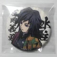 鬼滅の刃 柱合会議 蝶屋敷編 缶バッジ 義勇