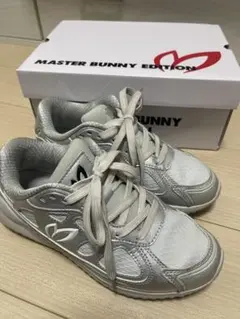 Item thumbnail for item d950261b-81ee-4fd8-8fee-c194b8502cd3