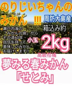 高級柑橘　夢みる春みかん「せとみ」家庭用　小玉（訳あり含）箱込み約2kgのサムネイル