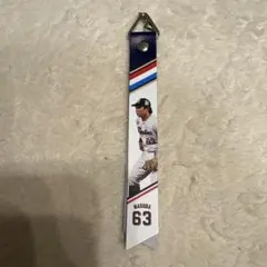 東京ヤクルトスワローズ　ボンフィン　増田珠