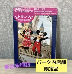 ディズニーリゾート パーク限定 実写　トランプ　マジック　ディズニーランド