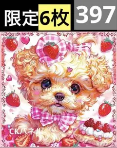 限定3枚　レアパネル生地　6柄セット　トイプードルパネル生地