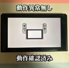 Nintendo Switch 本体のみ 動作確認済み
