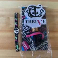 Item thumbnail for item 301d10b4-e5a8-4445-af52-bc26913cfdc7