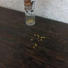 土肥金山 砂金 15粒 - メルカリ