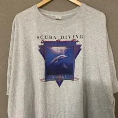 Niko and... イルカ Tシャツのサムネイル